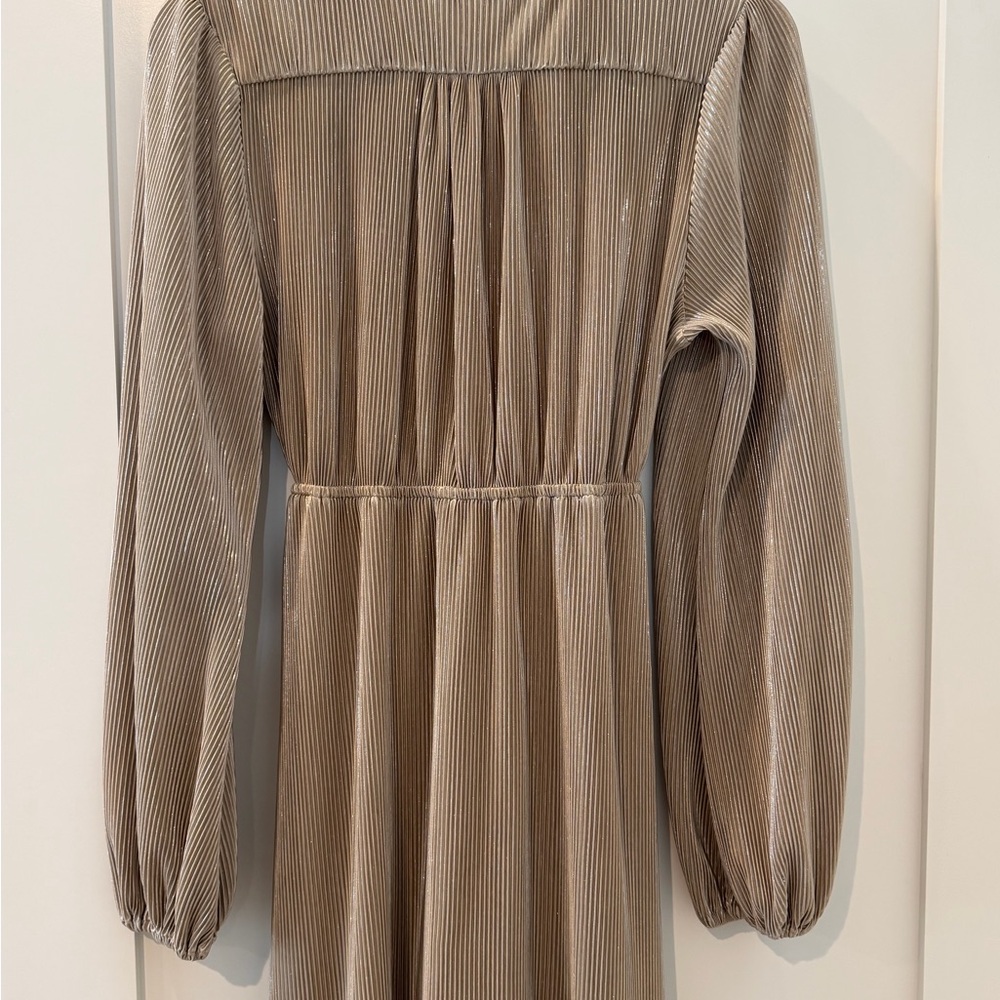 Elegant Beige Long Sleeve Dress - Picture 4 of 5